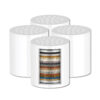 AquaLumia 4-Pack Shower Filter Replacements for AL-S1000